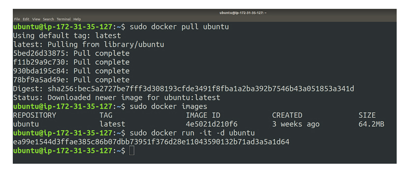 container using this image