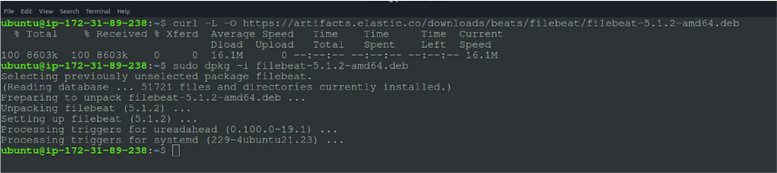 install the filebeat