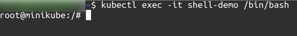 kubectl exec