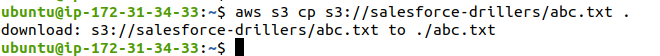 object-from-s3-bucket