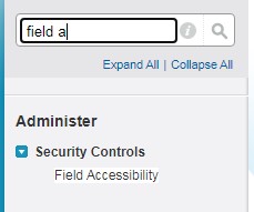 admin-field-accessibility