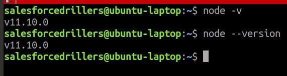 Node Version