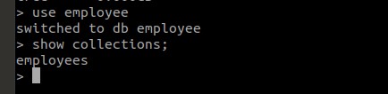 node-mongo-collections-output