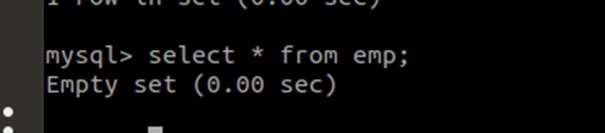 node mysql delete output