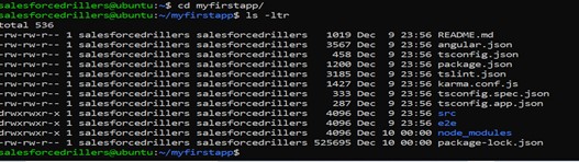 angular-project-root-directory