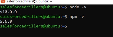 version-nodejs-npm
