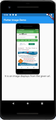 flutter-image-demo-internet-url
