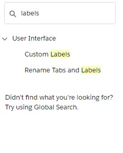 lightning-exp-custom-labels