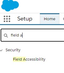 lightning-exp-field-asscessibility