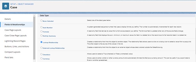 lightning-exp-fields-relationship-case