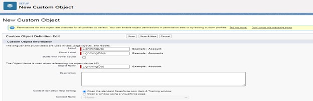 lightning-exp-new-custom-object