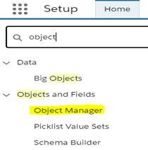 lightning-exp-object-manager