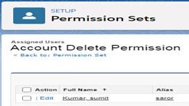 lightning-exp-user-permission-set-assigned